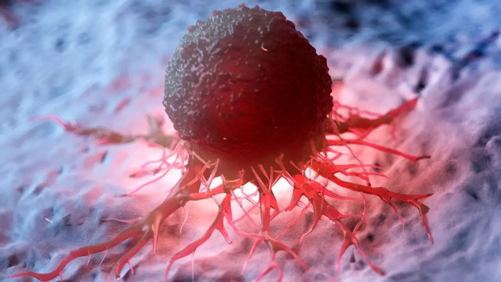 Smart Nanoparticles Reprogram Immune Cells to Fight Cancer