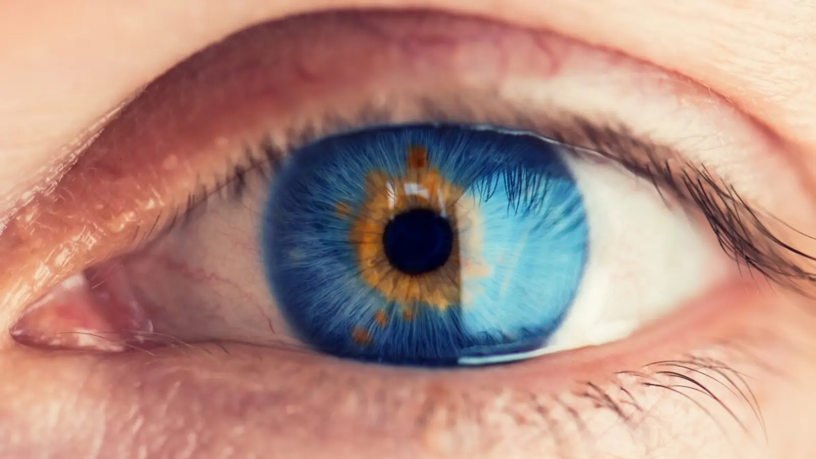 Your Eyes Reveal Biological Age Better Than We Thought