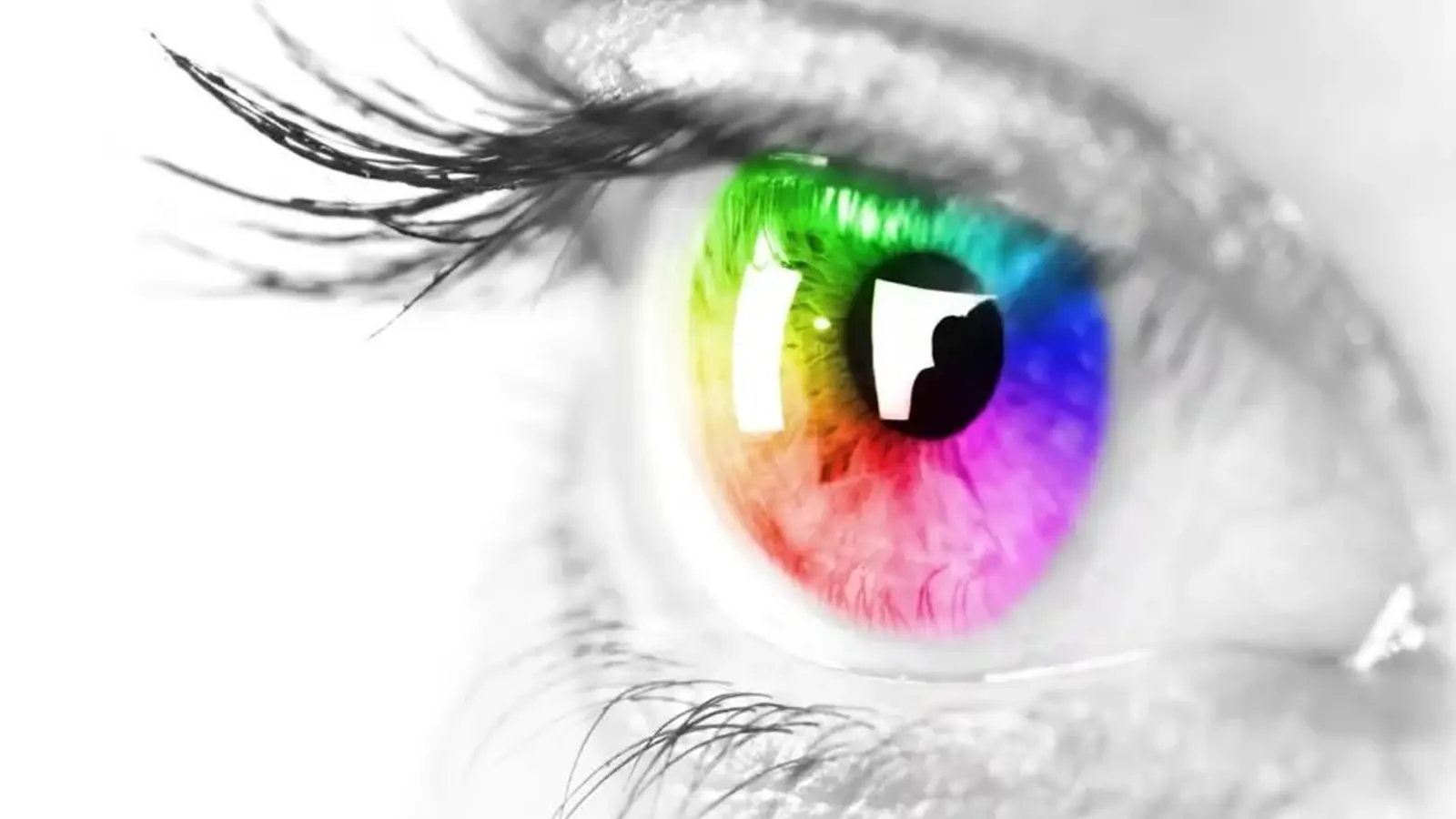 Why Red, Yellow, Green and Blue Stand Apart in Vision