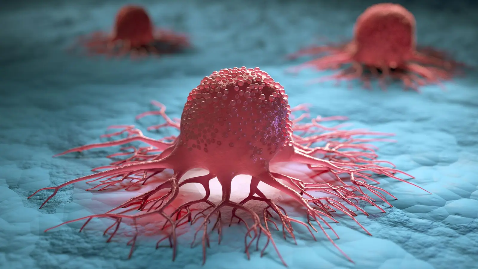How Inflammation Can Wake Dormant Cancer Cells Years Later