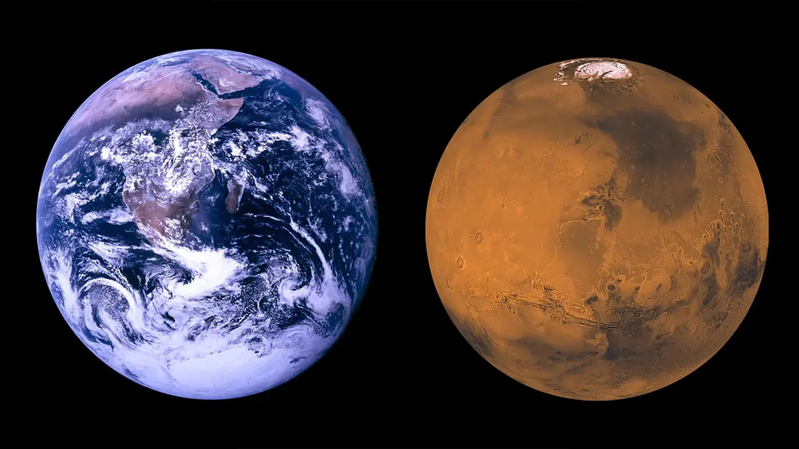 Earth and Mars: Two Roads to Becoming Rocky Worlds