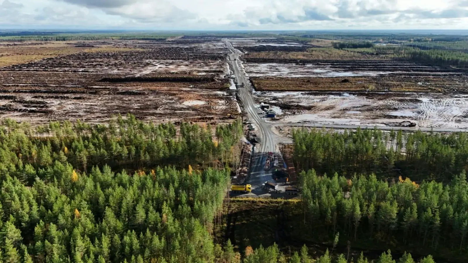 Google Accused of Clearing 300 Hectares for Data Centers