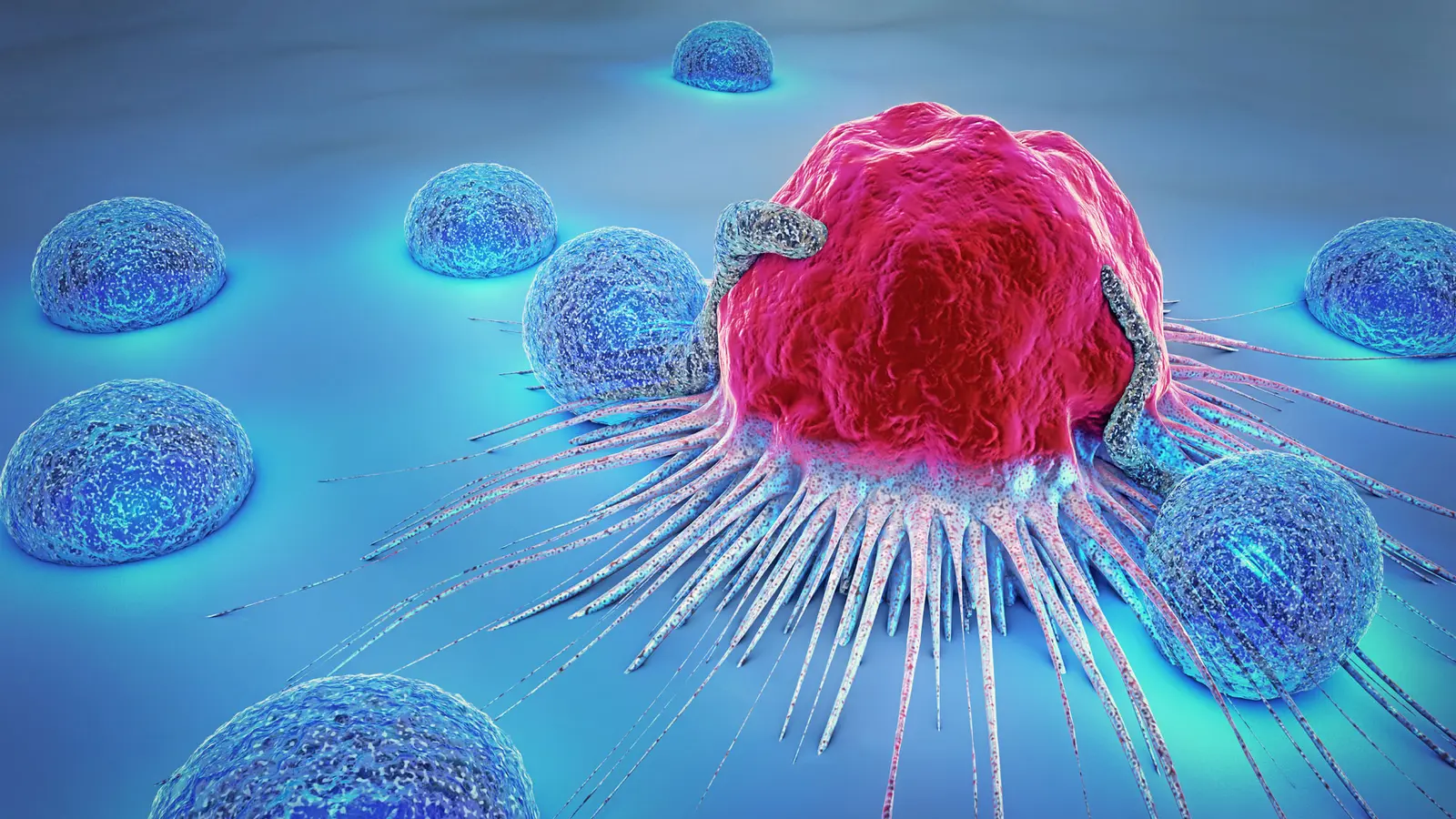 New Drug Combo Starves Leukemia by Forcing Energy Crisis