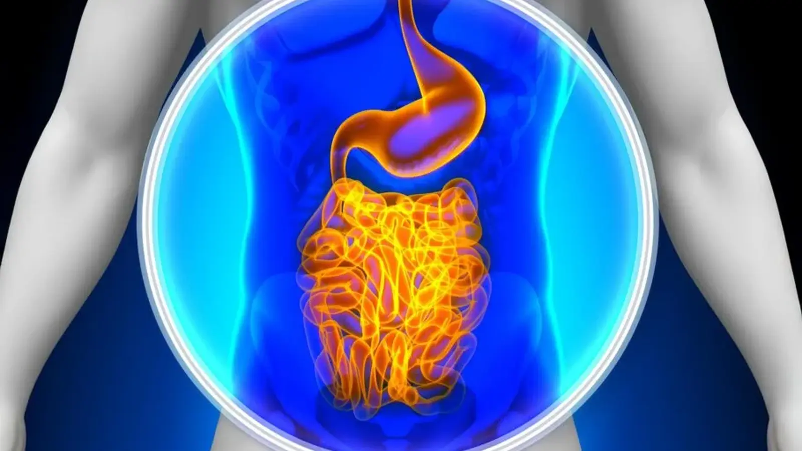 20 Minutes of Walking Triggers Rapid Gut Activity Quickly