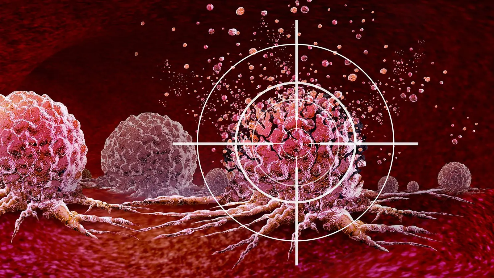Hidden Role of Wee1 May Explain Toxicity of Cancer Drugs
